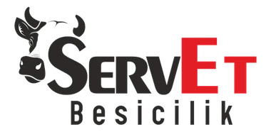 Servet Besicilik